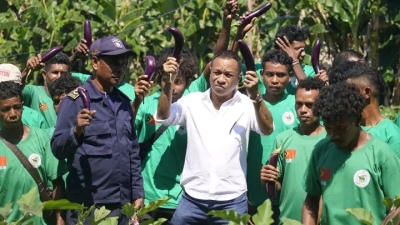 Ministru Komérsiu no Indústria, Nino Pereira halo koleta modo mutin no brinjela ne’ebé kuda husi Grupo Hortikultura Sustentavel iha Suku Watuboru. FOTO:MCI