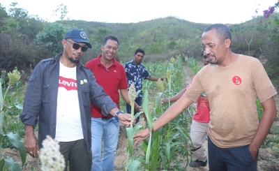 Sekretáriu Estadu Kooperativa Arsénio Pereira da Silva ho Ekipa observa hela bata kay rala neebe kuda iha Munisipiu Aileu. Foto:Media Gabinete SEKoop.