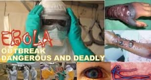 Ebola. Foto Google