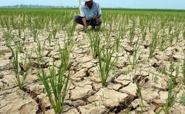 Impaktu husi El-Nino