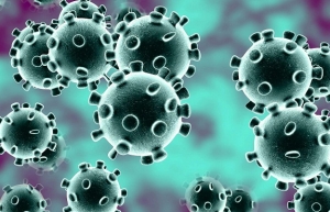 Coronavirus nebe hamate ema nia vida lalais. Foto Google