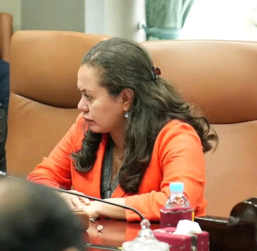 Tékniku empreza WEGo seidauk instala mákina fase raan