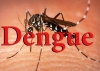 Dengue