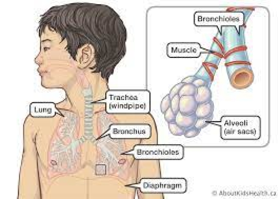 at-least-305-people-suffering-from-acute-respiratory-infection-in-timor