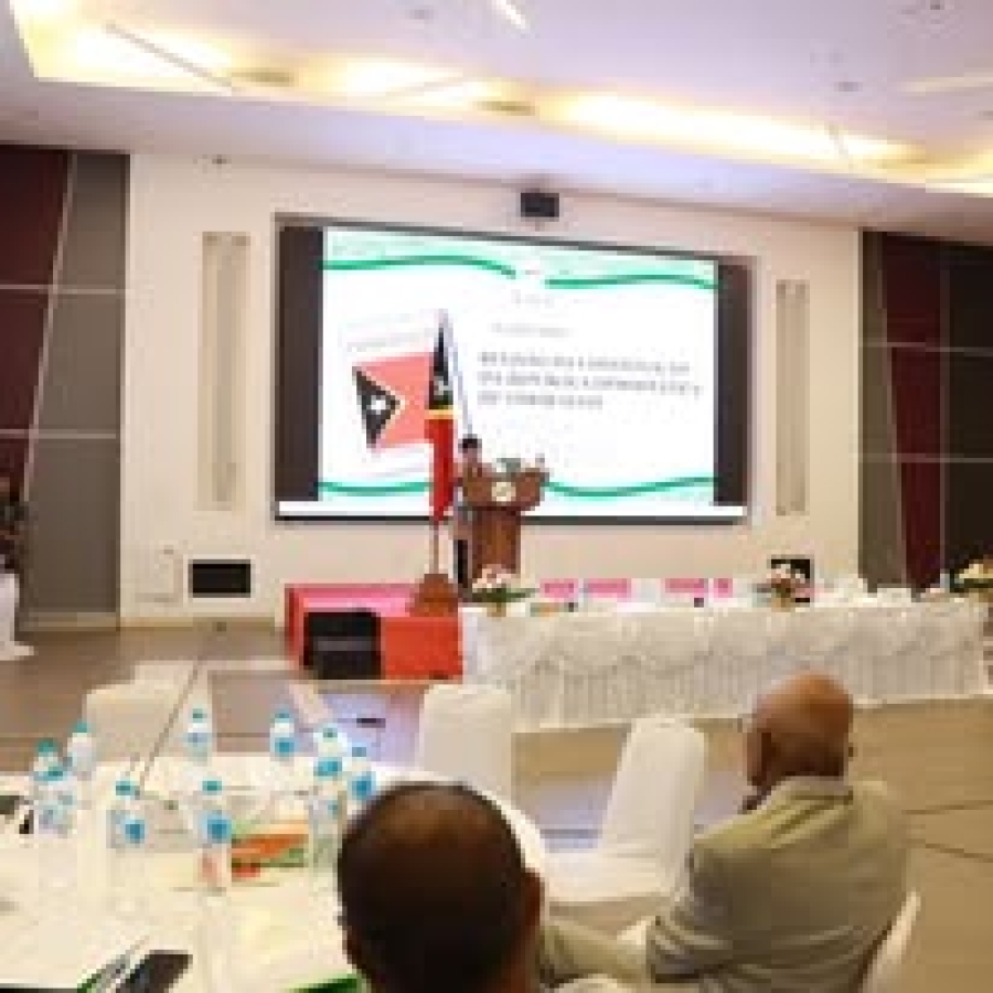 PN realiza seminariu ‘Revizaun ba Konstituisaun’, Coelho: Mudansa ba prezidensialista refleta situasaun TL