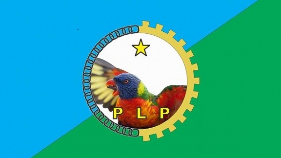 Bandeira PLP