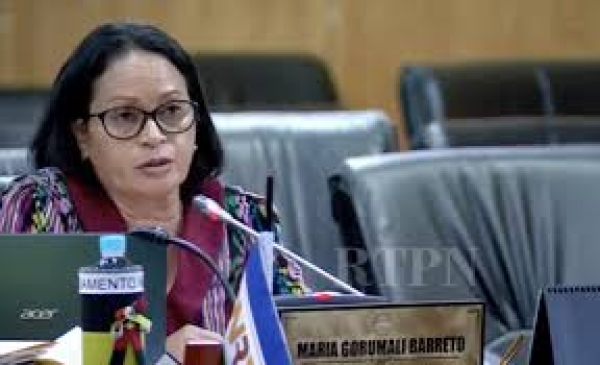 Prezidente Komisaun F, Maria Goru Mali Barreto. Foto:Google.