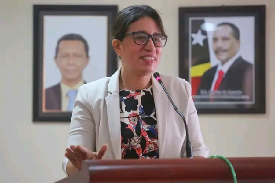 Deputada CNRT husu MS identifika problema huun iha seitor saude