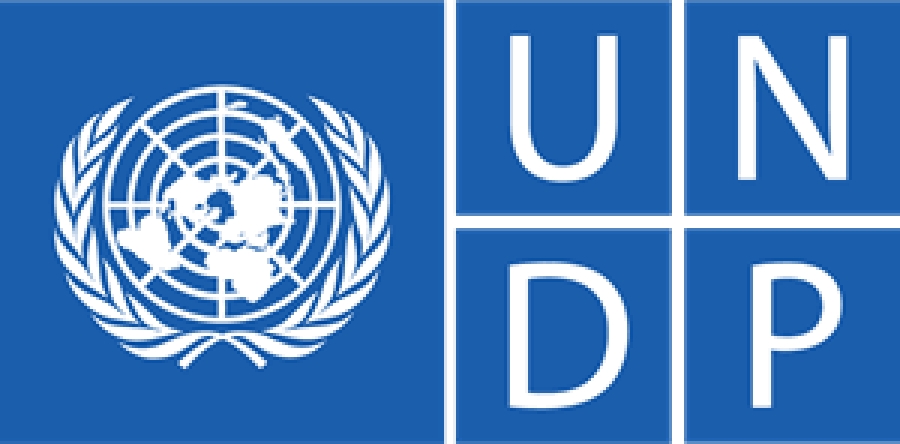 United Nations Development Project (UNDP). Foto:Google.