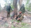 Korpu Guarda Floresta, Munisípiu Lautém kaptura ema-nain-8 no prende kilat anin, iha suku Lore I, Postu Administrativu Lore, tanba kasa animal fuik neebé governu bandu iha área parke nasionál Nino Konis Sanana. Foto: Kontribuiente.