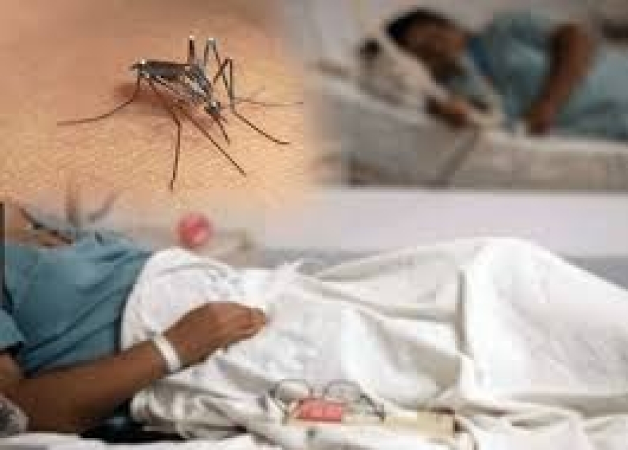 Pasiente dengue baixa hela iha Ospital. Foto:Google.