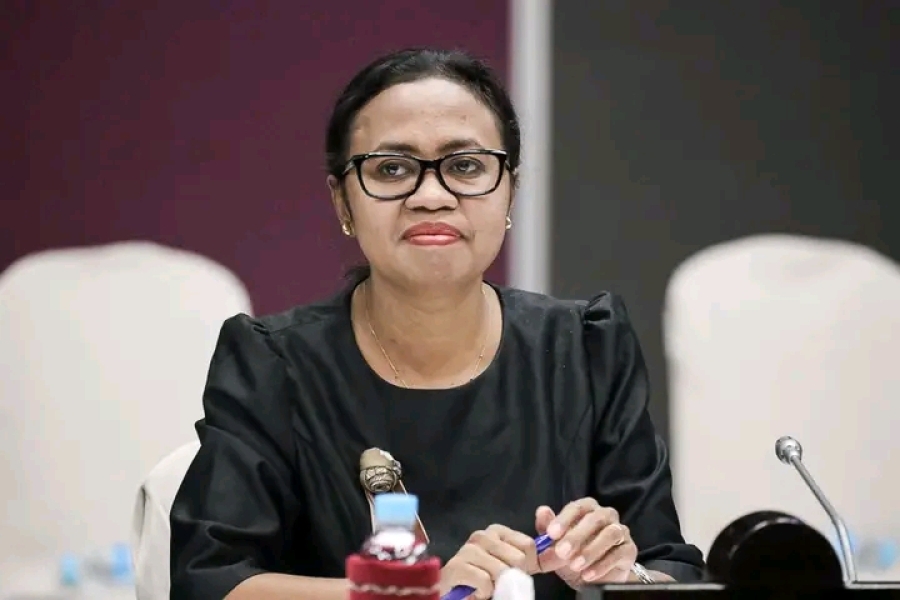 SEI aprezenta KM partisipasaun TL iha sesaun anuál husi Komisaun estatutu feto Nasoins Unidas