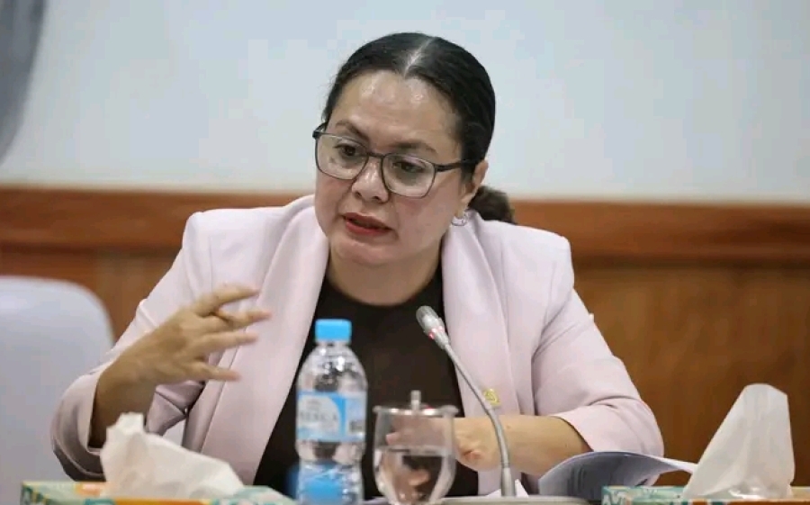 Prevensaun ida ba dengue: MS sei fahe autan ba labarik estudante sira