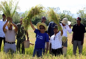 Ministru Agrikultura, Pekuária, Peskas, no Florestas, Eng, Marcos MAMETA da Cruz, MAgSt, akompaña husi Sekretariu Estadu Pescas Domingos  da C. dos Santos “Mau-Caro”,  iha loron Kinta ne’e halao lansamentu koa háre bá fini komersial iha , Bituri, Aldeia Glai, Suku Lissadila, Munisipiu Likisa. (04/07/24). Foto:Media MAPPF.