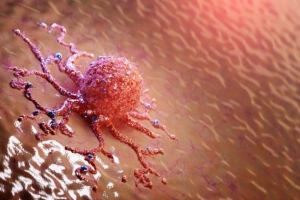  Ilustrasaunkankru. FOTO: aladokter.com.