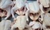 chicken meat 