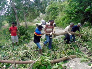 Komunidade hamoos hela dalan husi ai sira ne'ebe tohar afeitasaun anin no udan boot iha Baukau