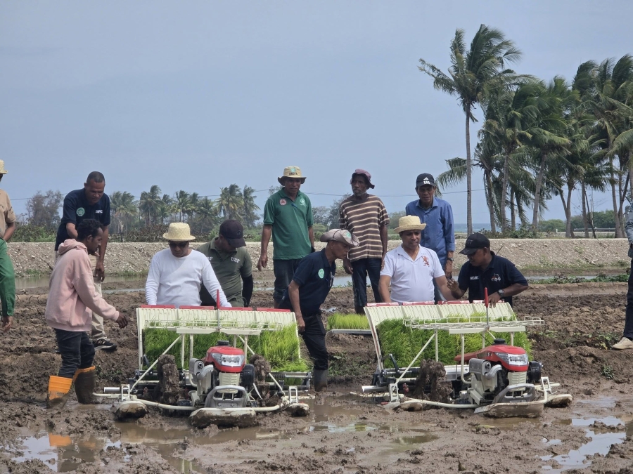 Tempu ona Timor-Leste moderniza setór agrikultura